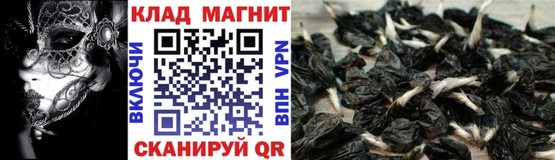 Купить закладку APVP Каннабис Cocaine АМФЕТАМИН Гашиш Меф Белинский