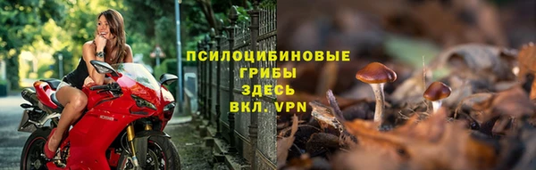 стаф Баксан