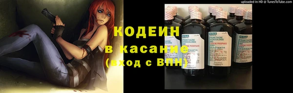 стаф Баксан