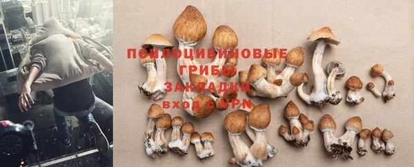стаф Баксан