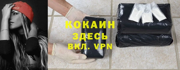 стаф Баксан