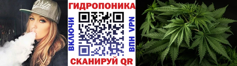 Конопля AK-47  Купить  Белинский 